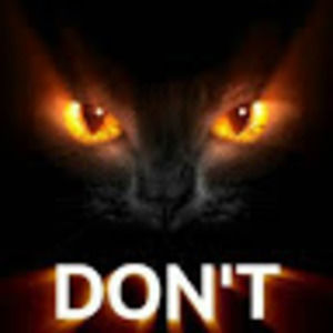 Meet your Posher, George